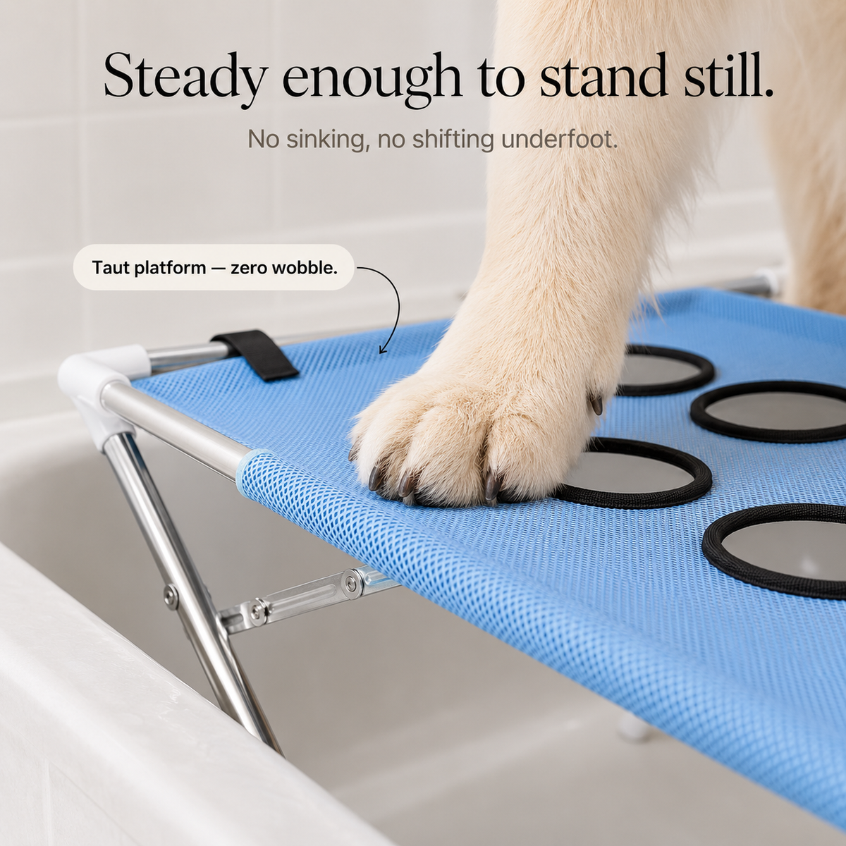 Elevated Non-Slip Dog Bath Platform – Stainless Steel