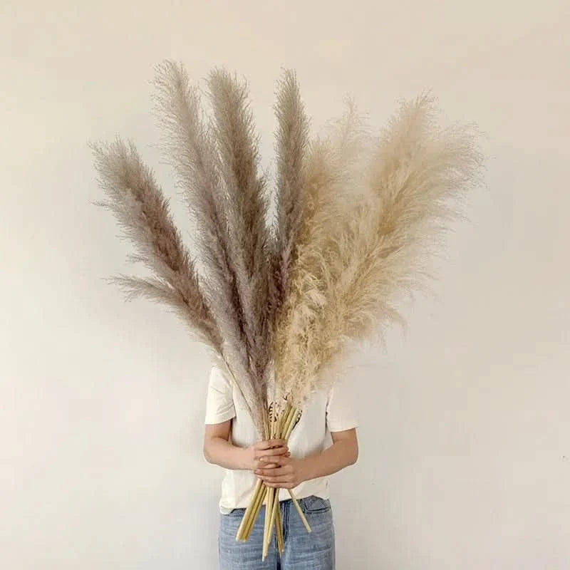 Faux Pampas Grass Stems 65cm - Decorative Dried-Look Bouquet Set