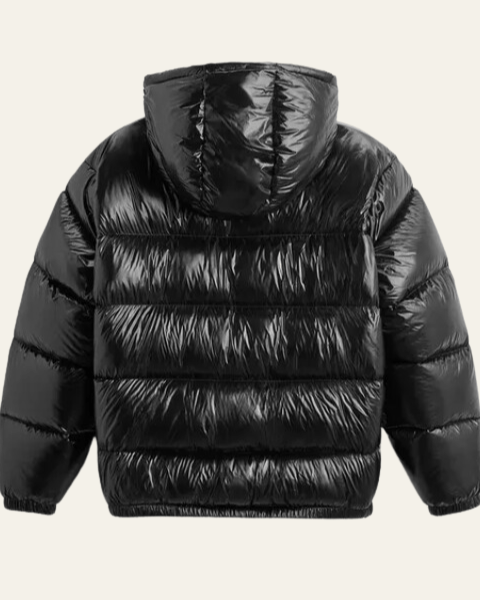 Men's Down Jacket Nylon Glossy Finish Goose Feather Fill