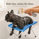 Elevated Non-Slip Dog Bath Platform – Stainless Steel