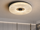 Ceiling Light LED Sculptural Round Design, Warm White
