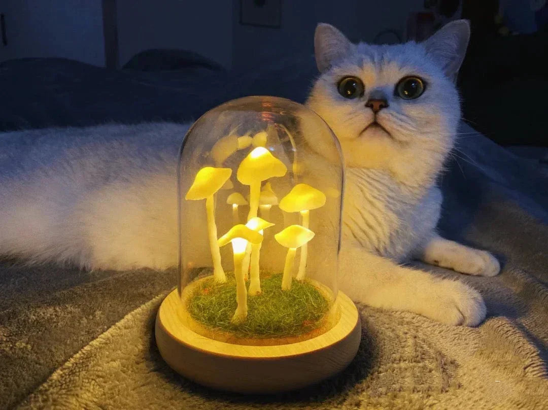 DIY Paddenstoel Lamp – Glas en Hout, Creatieve Verlichting voor Woonkamer of Slaapkamer