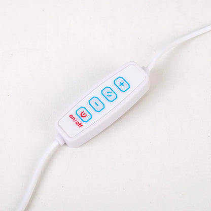 Amethist Lamp – Natuurlijke Paarse Kristallen voor Rustgevende Verlichting in Slaapkamer of Meditatiehoek