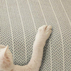 Chenille Sofa Cover - Anti-Scratch Pet-Friendly Couch Protector