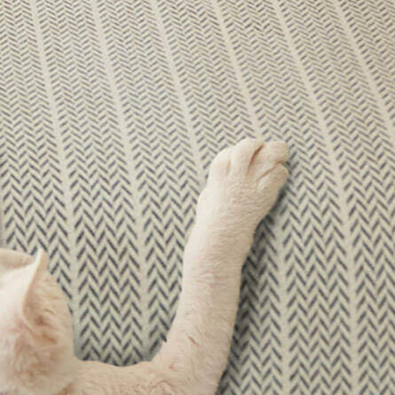 Chenille Sofa Cover - Anti-Scratch Pet-Friendly Couch Protector