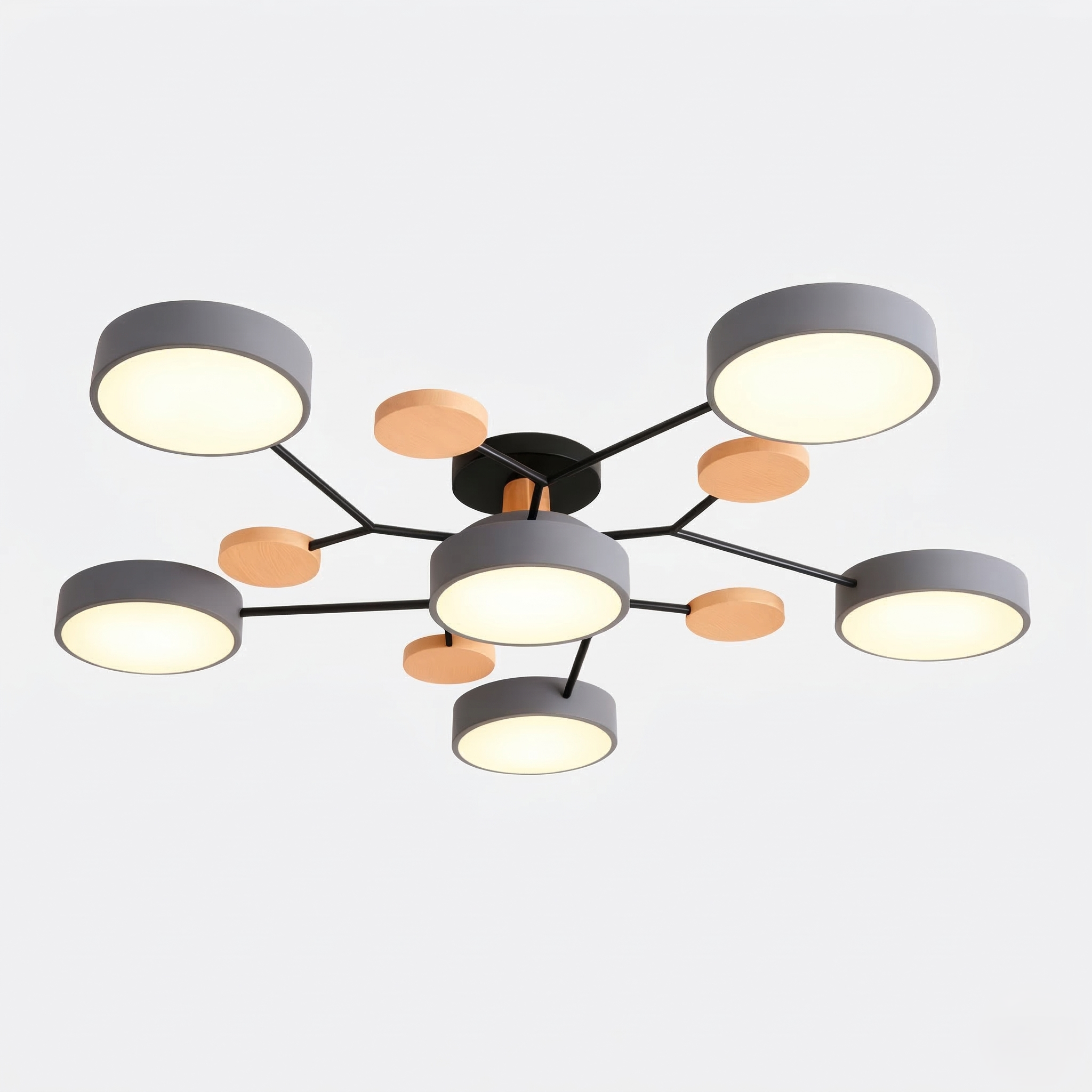 Plafondlamp Scandinavisch met Multi-Arm Design en Geïntegreerde LED