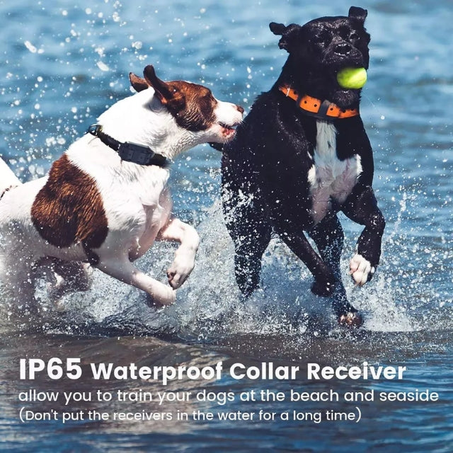 Vattentätt träningshalsband för hund med fjärrkontroll och 800 m räckvidd